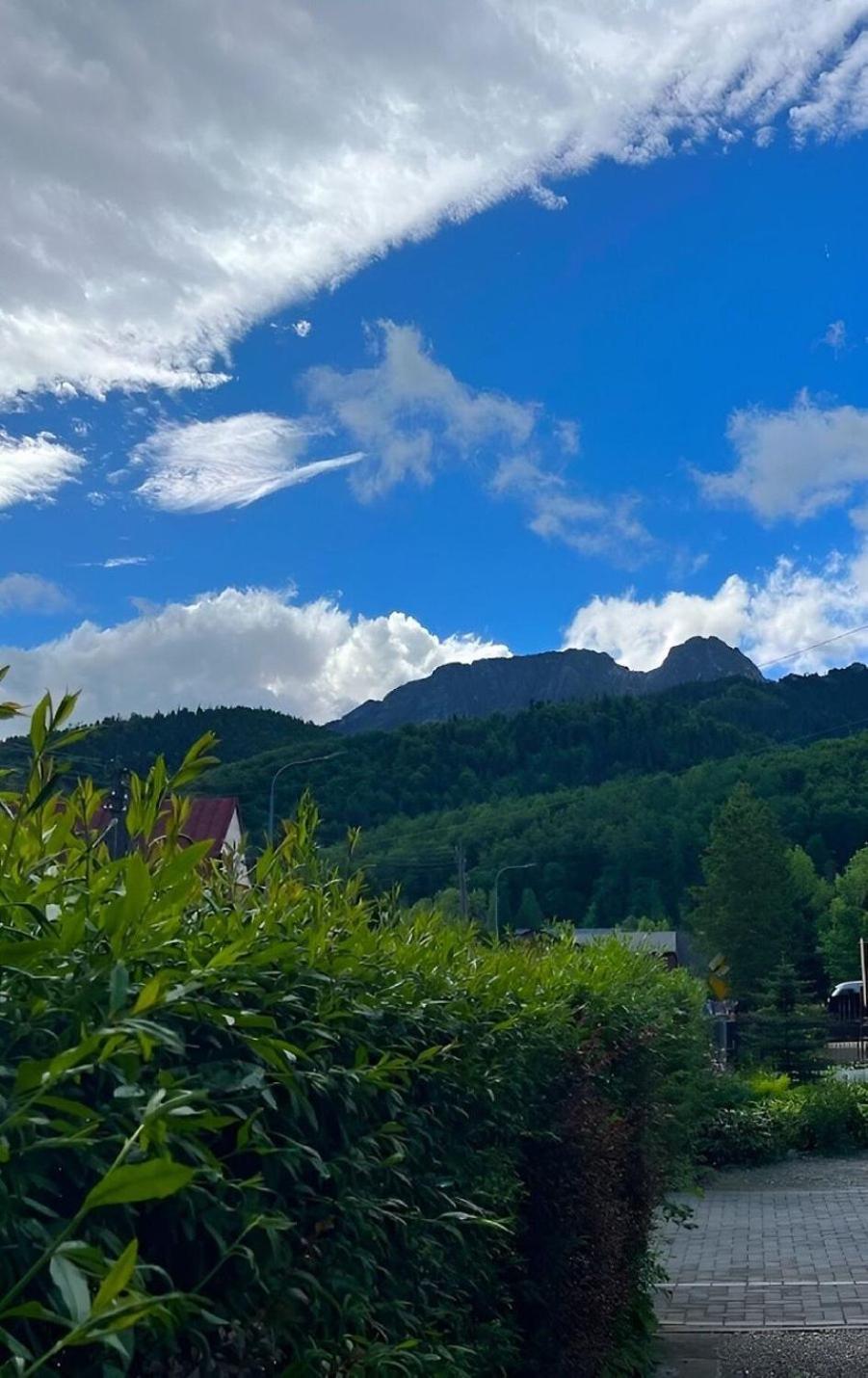 Dom Lesnik Lägenhet Zakopane Exteriör bild