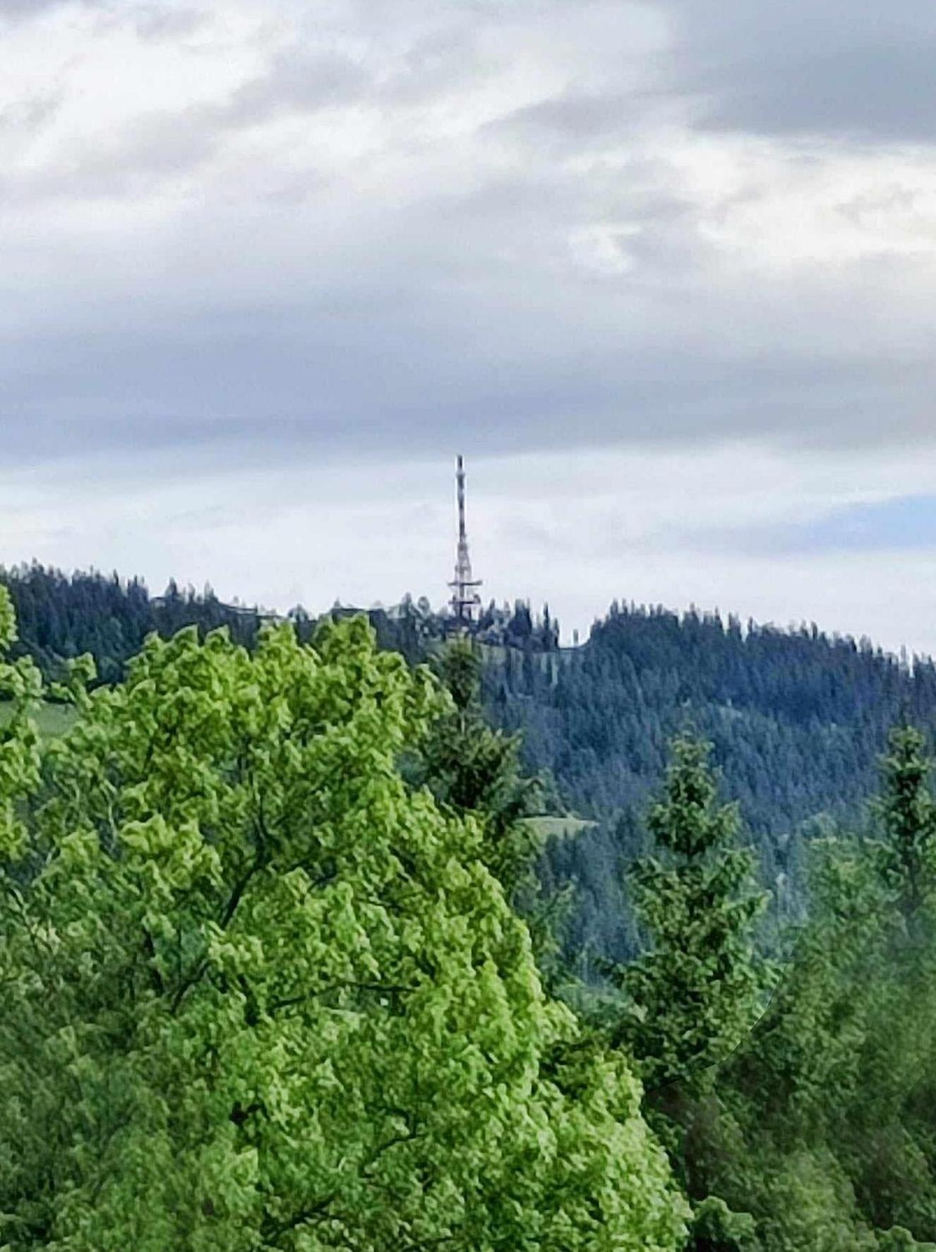 Dom Lesnik Lägenhet Zakopane Exteriör bild