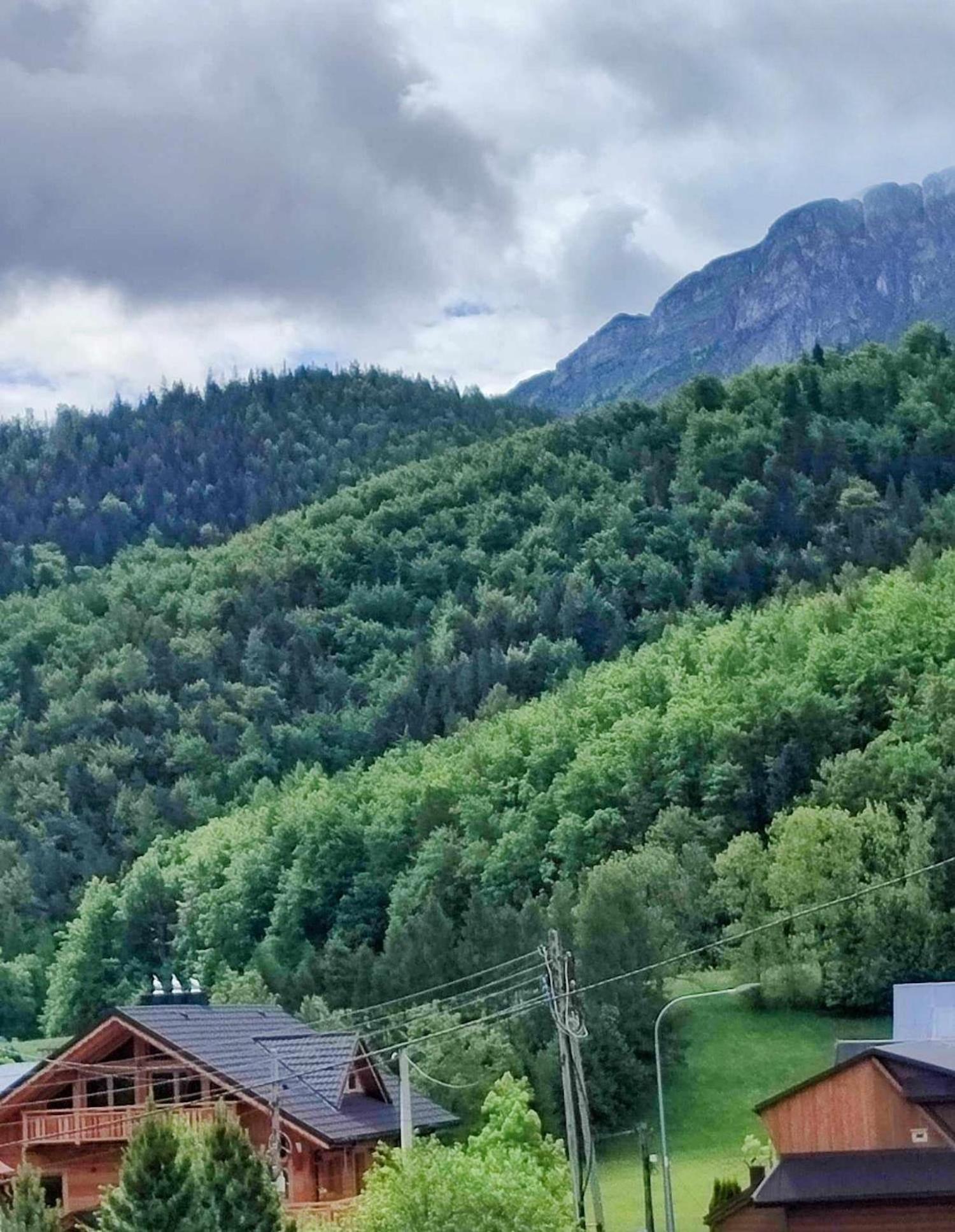 Dom Lesnik Lägenhet Zakopane Exteriör bild