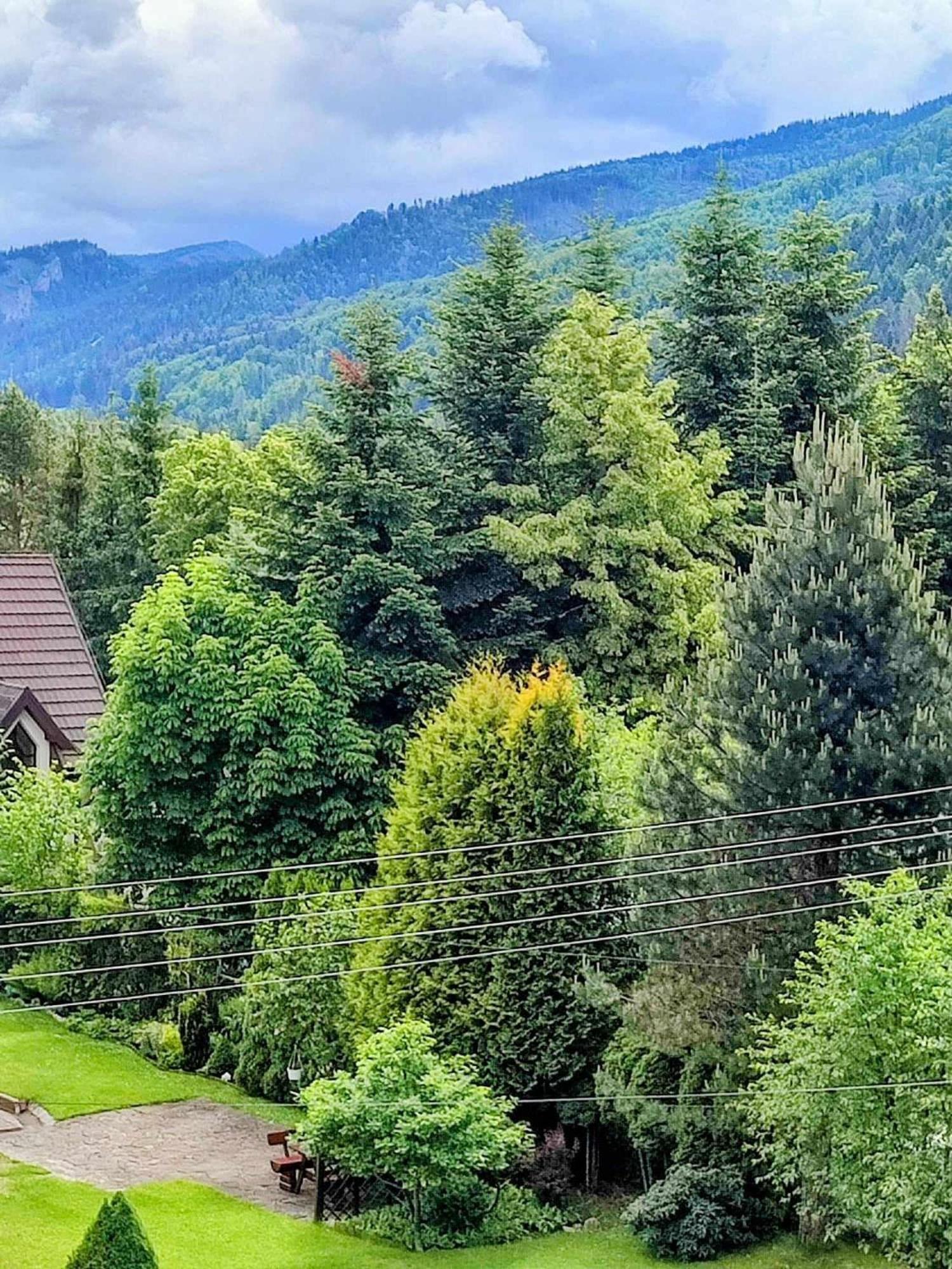Dom Lesnik Lägenhet Zakopane Exteriör bild