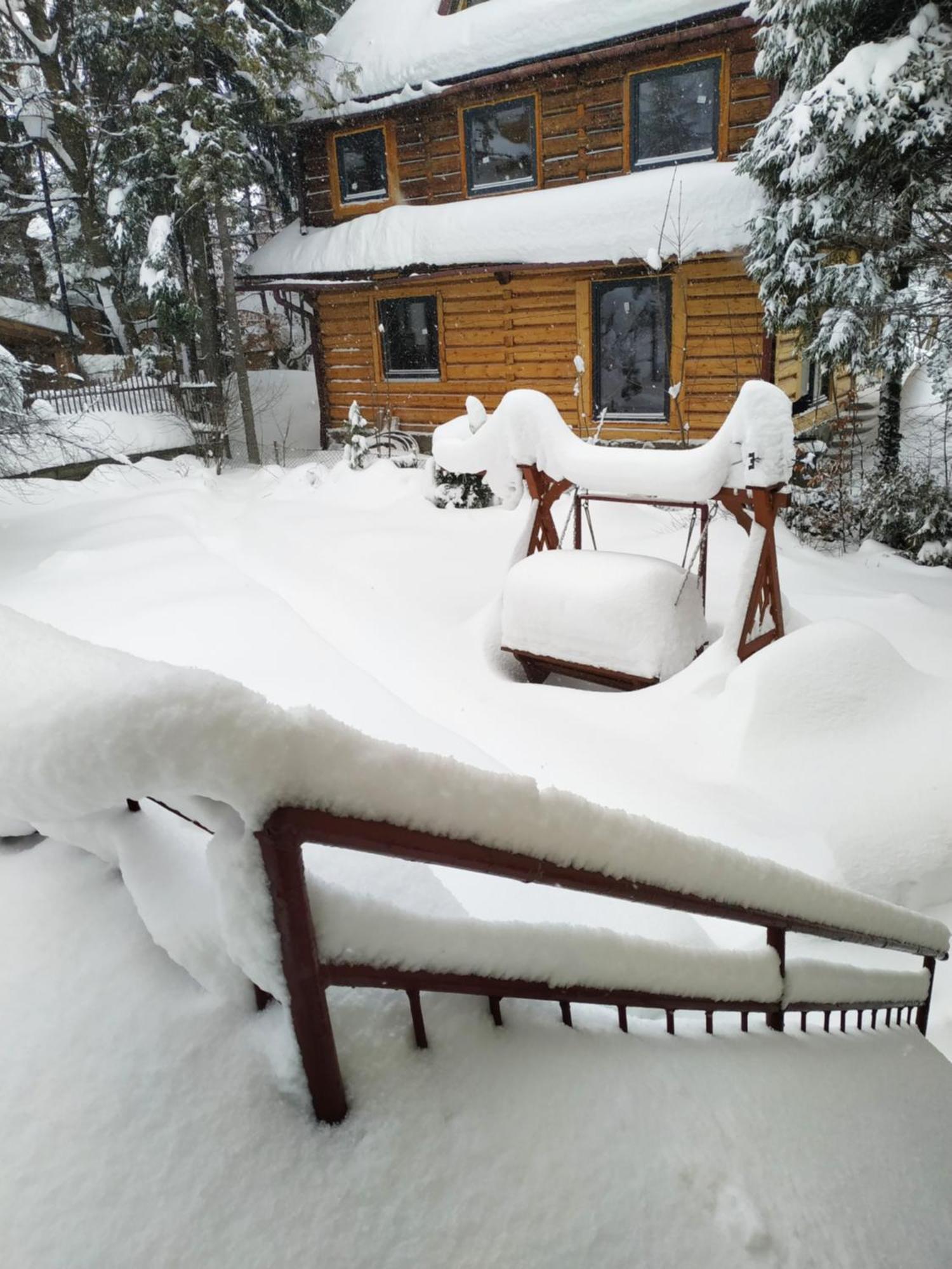 Dom Lesnik Lägenhet Zakopane Exteriör bild
