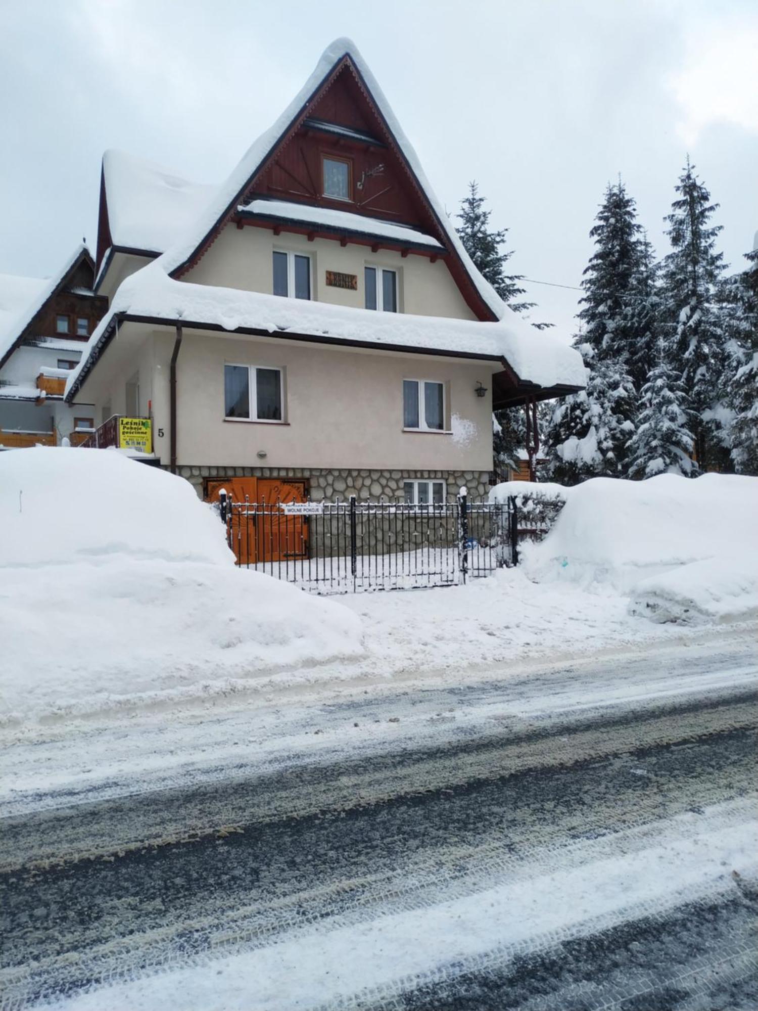 Dom Lesnik Lägenhet Zakopane Exteriör bild