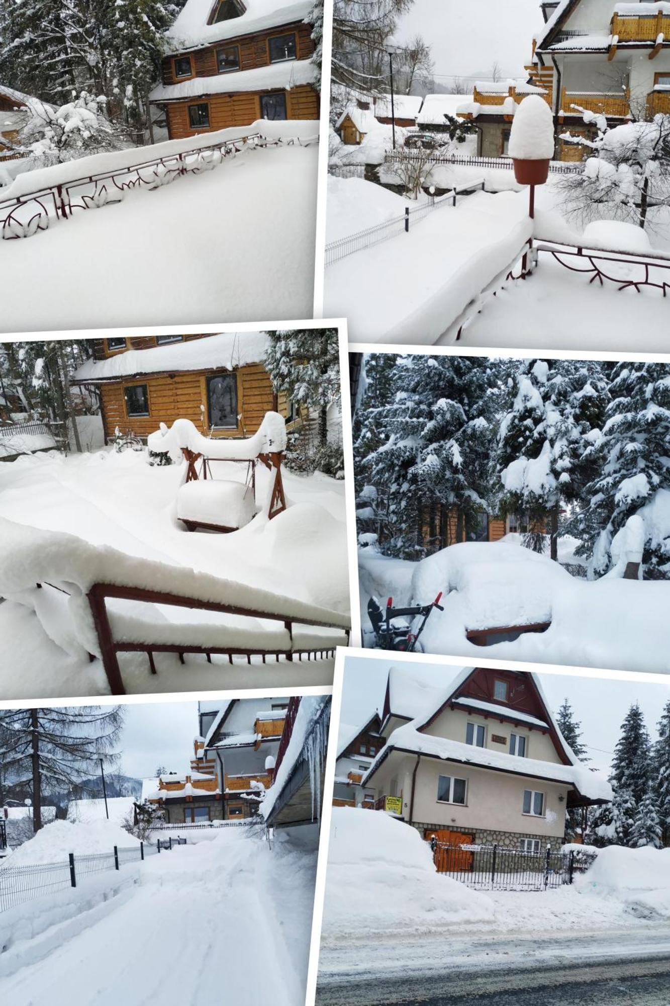 Dom Lesnik Lägenhet Zakopane Exteriör bild